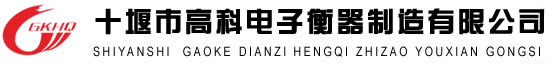 浙江領(lǐng)強(qiáng)電子科技有限公司